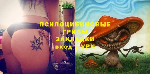 сатива Белоозёрский