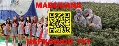 МДПВ Ливны