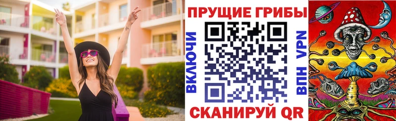 маркетплейс как зайти  Вязники  Галлюциногенные грибы мухоморы 