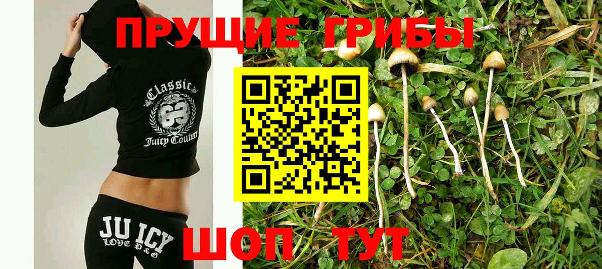 Вязники  Галлюциногенные грибы MAGIC MUSHROOMS  Псилоцибиновые грибы Cubensis  Вход с VPN 